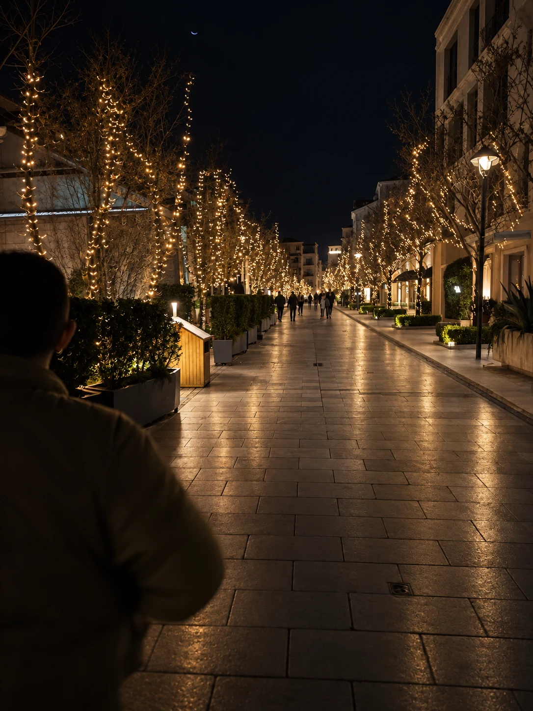 Gece Işıklarıyla Aydınlanan Zarif Cadde